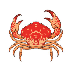 Red Crab, Lobster, Omar - cartoon vector character mascot