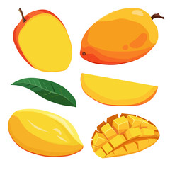 Set of yellow red mango and slices. Isolated vector fruit in flat style. Summer clipart for design