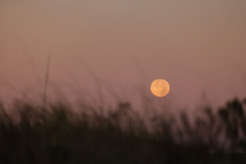 Full Moon Pastel Color and Sky Copyspace