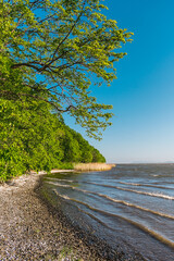 Seashore with a shallow bottom on a clear day. Summer sunny day on the seashore.