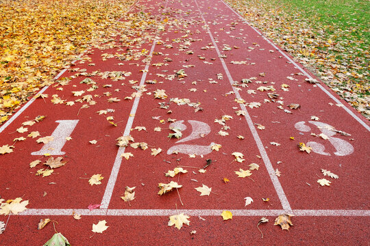 Running track in stadium abandoned and covered with tree leaves 