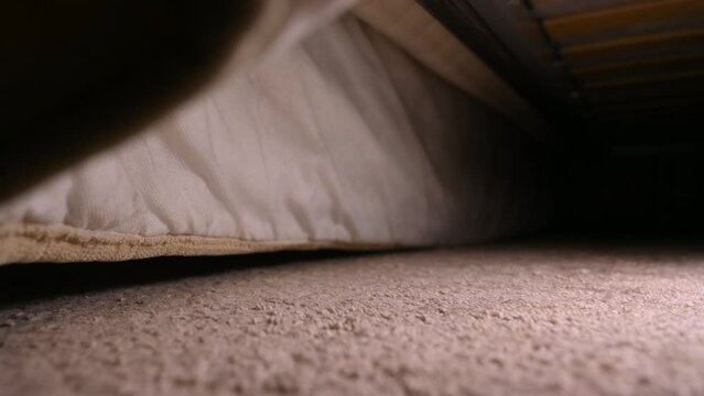 A woman finds her house keys under the sofa while searching. Close up