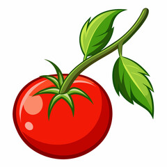 A red juicy tomato on a green sprig with leaves. Vector illustration isolated on white color