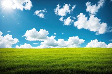 Fototapeta na wymiar A green field with clouds in the sky.