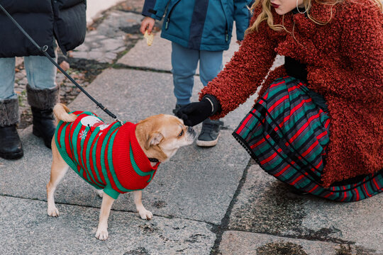 Blond Woman and Festive Pug on the Street