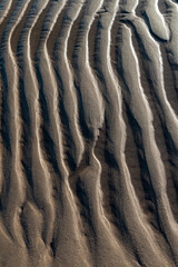 The image is of a beach with a sandy shoreline