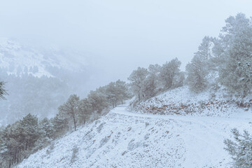 Nevada en la montaña solitaria de la sierra de Jaén