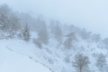 Nevada en la montaña solitaria de la sierra de Jaén