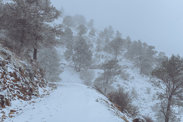 Nevada en la monta&ntilde;a solitaria de la sierra de Ja&eacute;n