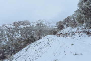 Fototapeta na wymiar Nevada en la montaña solitaria de la sierra de Jaén