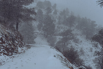 Nevada en la monta&ntilde;a solitaria de la sierra de Ja&eacute;n