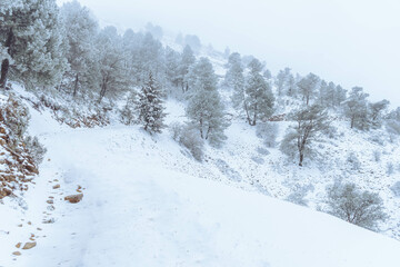 Nevada en la montaña solitaria de la sierra de Jaén