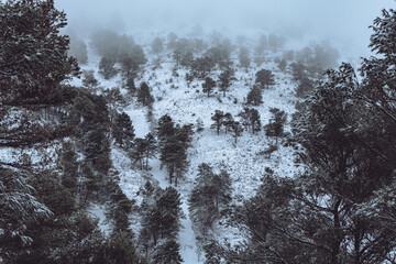 Nevada en la monta&ntilde;a solitaria de la sierra de Ja&eacute;n