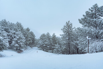 Nevada en la montaña solitaria de la sierra de Jaén
