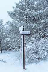 Nevada en la montaña solitaria de la sierra de Jaén