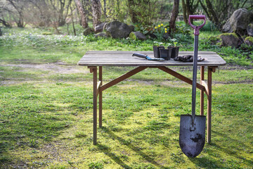Wooden garden table with spade, shovel and some potted plants in the backyard, gardening concept, copy space
