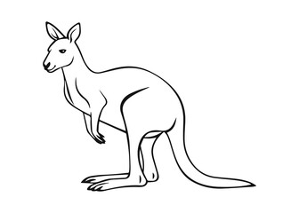 Obraz na płótnie Canvas kangaroo line art vector illustration