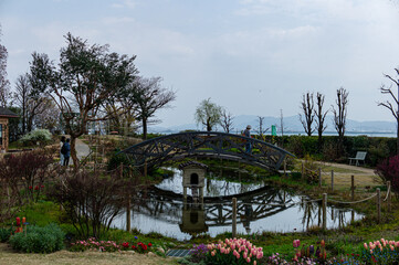 garden in spring