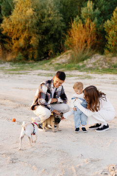 Childhood parenting time together walking forest domestic animals