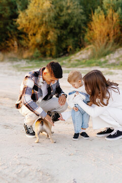 Parenting childhood explores domestic animals walk