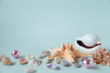 Obraz na płótnie Canvas Seashells, starfish and pearls on a gray background.