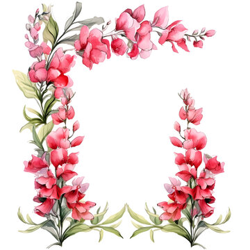 Frame of watercolor Snapdragon. Floristic design elements for floristics. Greeting card. Floral print. Plant painted background. Watercolour painting. Template.