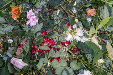 Discarded flowers and plant stems from a farmer's market stall