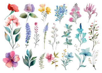 Raamstickers Aquarel natuur set Vector floral set. Colorful floral collection with leaves and flowers,drawing watercolor. Beautiful bouquet set of floral elements for your compositions.