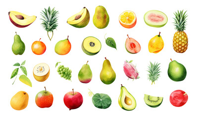 Watercolor fresh summer and tropical fruits set isolated on white background