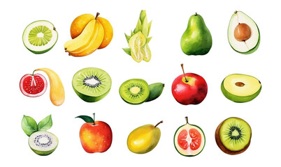Watercolor fresh summer and tropical fruits set isolated on white background