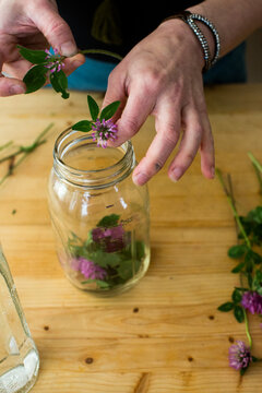 Women create natural remedies