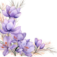 flower watercolor banner, Crocus, isolated on white background, Rustic romantic style, Floral design frame, Can be used for cards, wedding invitations