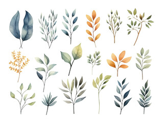 Fototapeta na wymiar Collection of green watercolor foliage plants clipart on white background. Botanical spring summer leaves illustration. Suitable for wedding invitations, greeting cards, frames and bouquets.