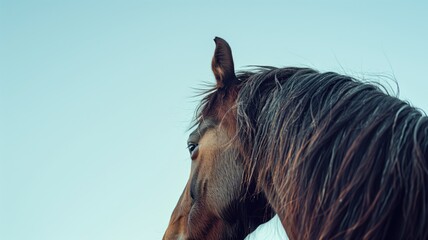 Close-up of brown horse's head against clear blue sky, emphasizing its mane and profile