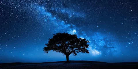 Fototapeten A view of a lonely old tree against the night starry sky © Oleksii