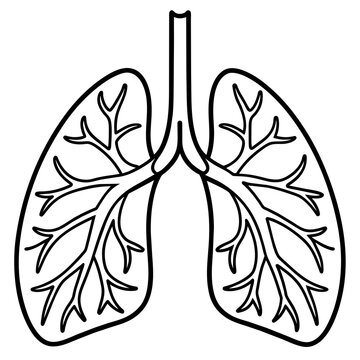 recommend clip art: Healthy Human Lungs Isolated on White Background for Medical Illustrations