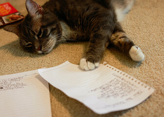 Cat with list of New Year's Resolutions