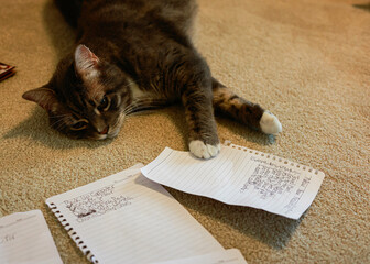 Cat with list of New Year's Resolutions
