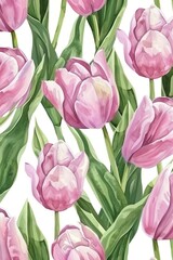 pink Tulips on white background. Spring flowers. Watercolor