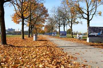 autumn in the park