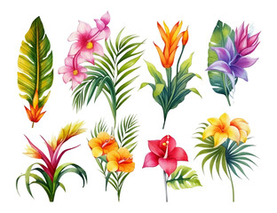 Colorful Tropical flowers, palm leaves, jungle leaf, bird of paradise flower, hibiscus. Vector exotic illustrations, floral elements isolated, Hawaiian bouquet for greeting card, wedding, wallpaper