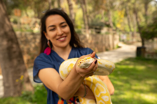Woman holding a snake. Albino burmese python..Python molurus bivittatus.