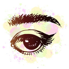 Eye and brow hand drawn illustration Vector image
