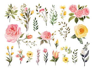 Set element of roses, green leaves, and branch watercolor style on isolated white background