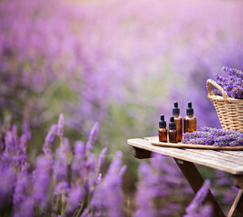 Amber essential lavender oil bottle. Violet lavendar field in Provence. - 777767015