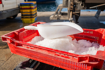 Fish Box With Ice In The Street Market In The Port.