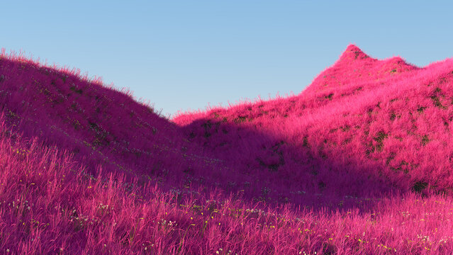 Purple Grass FIeld