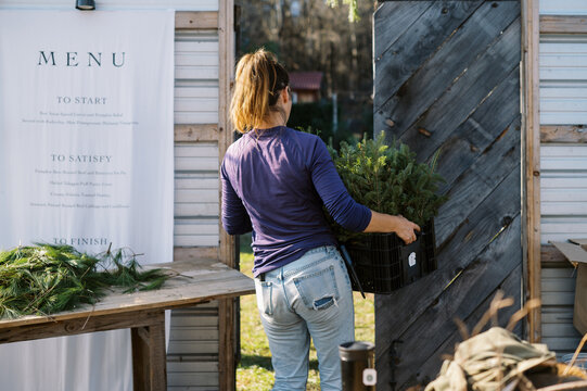 female farmer working in a greenhouse on sunny morning in november