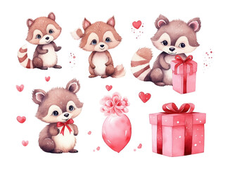 Set of draw vector illustration character design banner little raccoon with pink hearts and gift box for valentine day Watercolor style