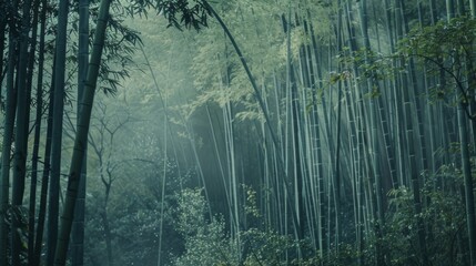 A dense bamboo forest shrouded in mist, with a cool, muted color palette enhancing the mysterious...